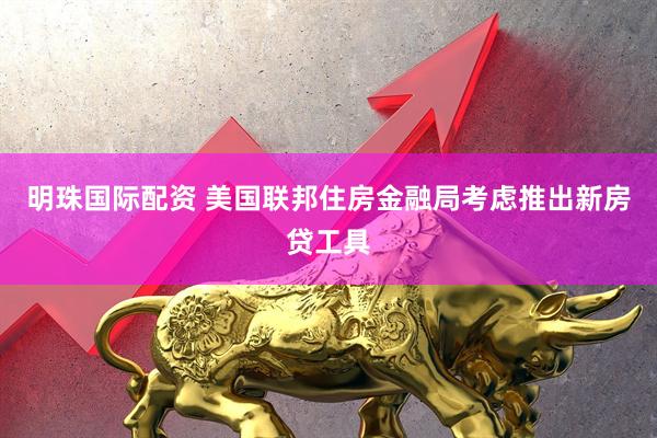 明珠国际配资 美国联邦住房金融局考虑推出新房贷工具