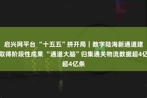 启兴网平台 “十五五”拼开局｜数字陆海新通道建设取得阶段性成果 “通道大脑”归集通关物流数据超4亿条